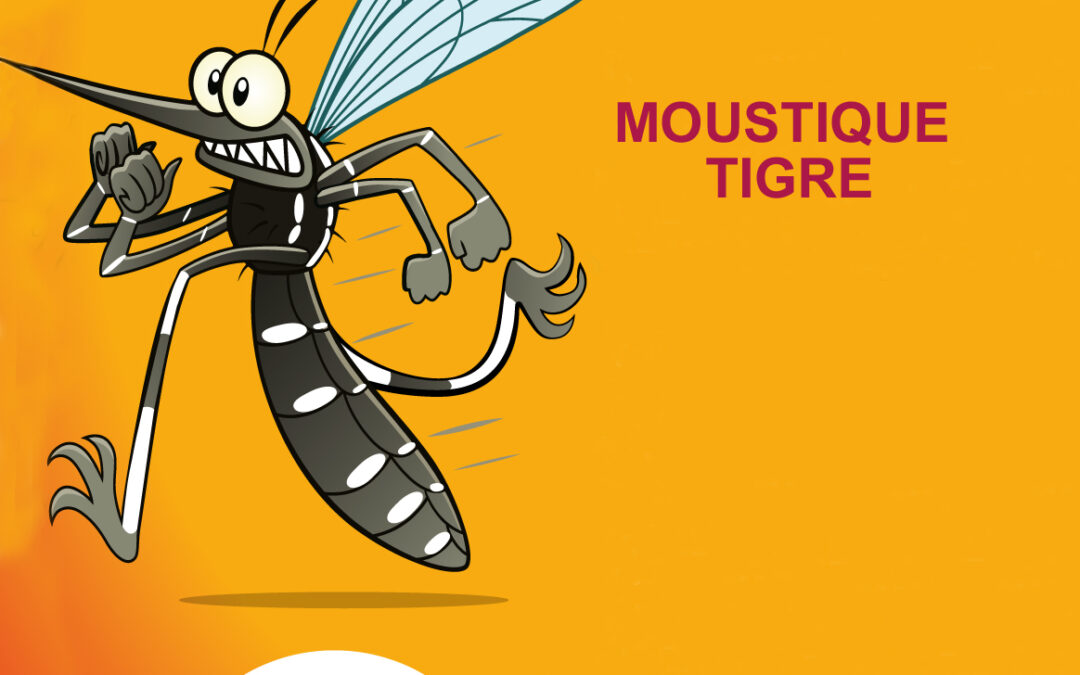 Moustique TIGRE – Mise en place d&rsquo;un portail de signalement