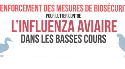Influenza aviaire