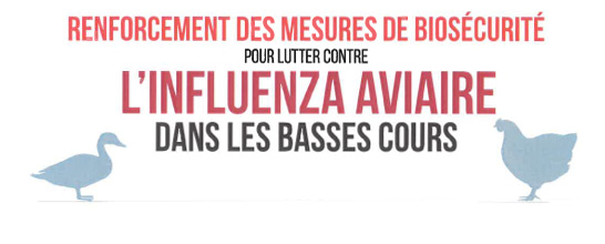 Influenza aviaire